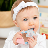 Luxury Baby Gift Set - Rainbow Rose