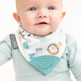 Comfort & Chew Gift Box - Cheeky Animals