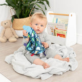 Baby Dino Comfortchew - Baby Comforter With Teether