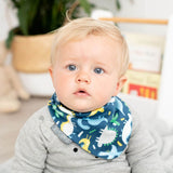 Dino & Stripes Neckerbibs - Dribble Bib 2 Pack