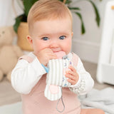 On the Go Teething bundle -  Rainbow Rose