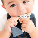 Comfort & Chew Gift Box - Midnight Stars