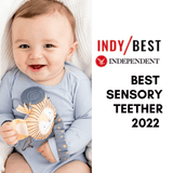 Bertie the Lion Handychew - Sensory Baby Teething Toy