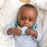 On the Go Teething bundle -  Dino