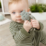 Luxury Baby Gift Set - Neutral Biscuit & Sage