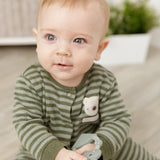 Comfort & Chew Gift Box - Neutral Sage