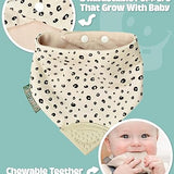 Comfort & Chew Gift Box - Leopard Spot