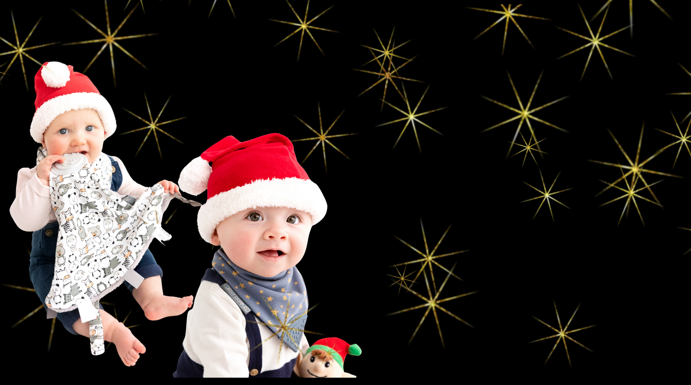 BLACK FRIDAY SPECIAL OFFERS