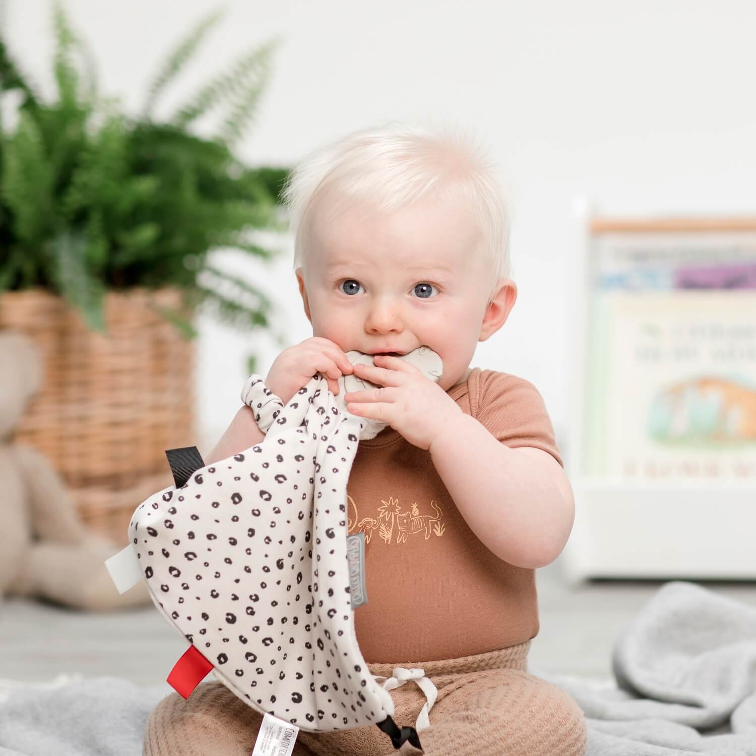 Leopard & Midnight Stars Comfortchew - Personalised Baby Comforter With Teether 2 Pack - Cheeky Chompers