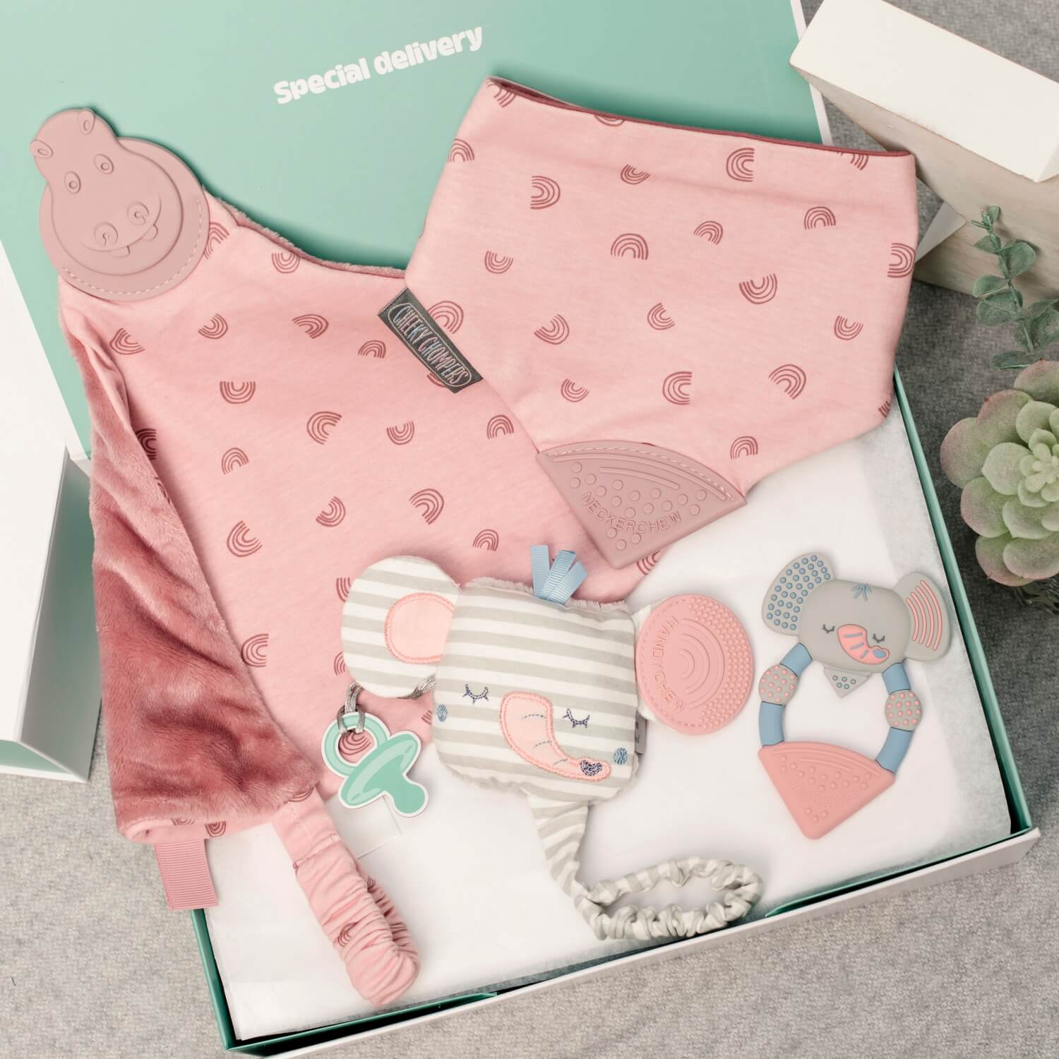 Rainbow Rose Comfort & Chew Teething Baby Gift Set - Cheeky Chompers
