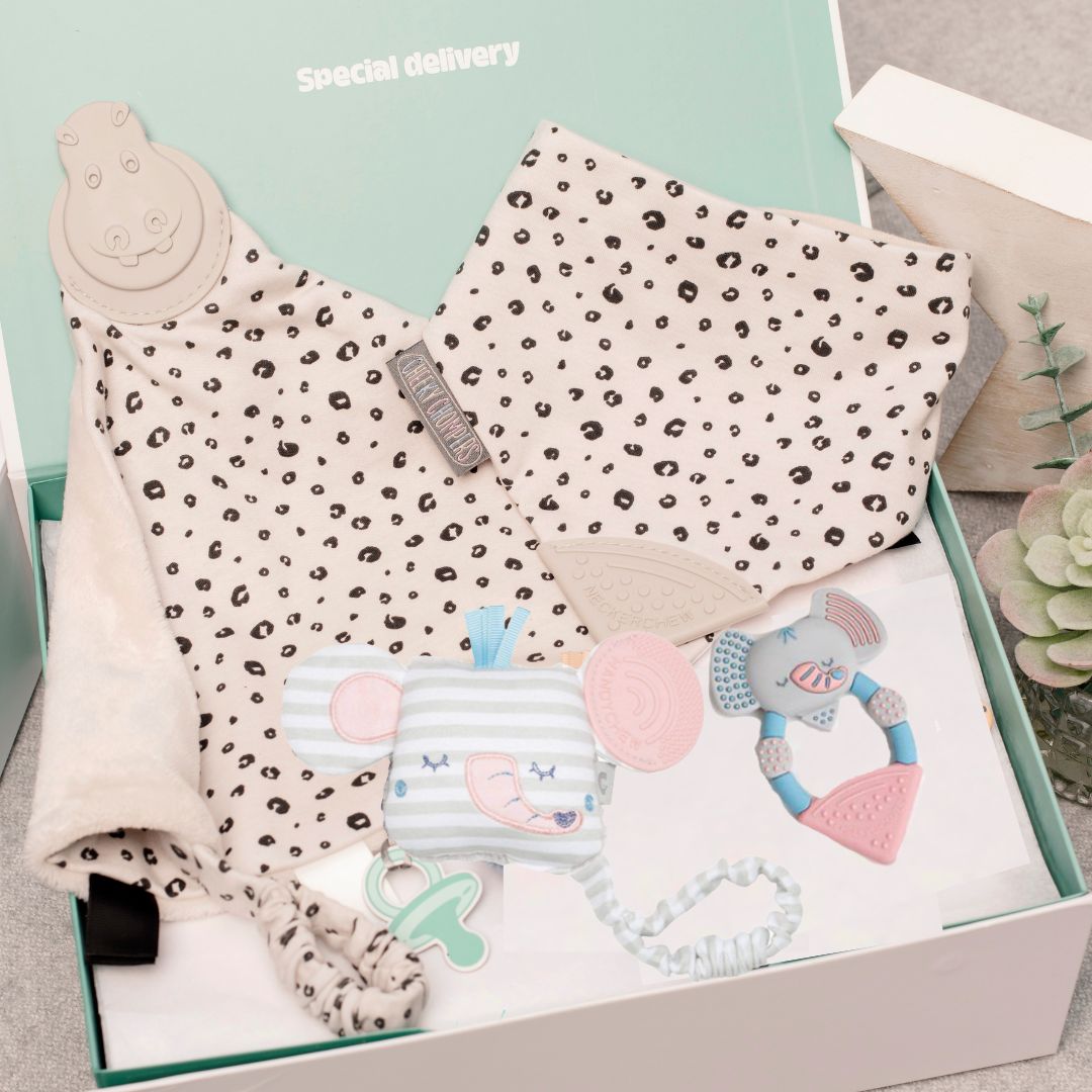 Leopard & Darcy Comfort & Chew Teething Baby Gift Set - Cheeky Chompers